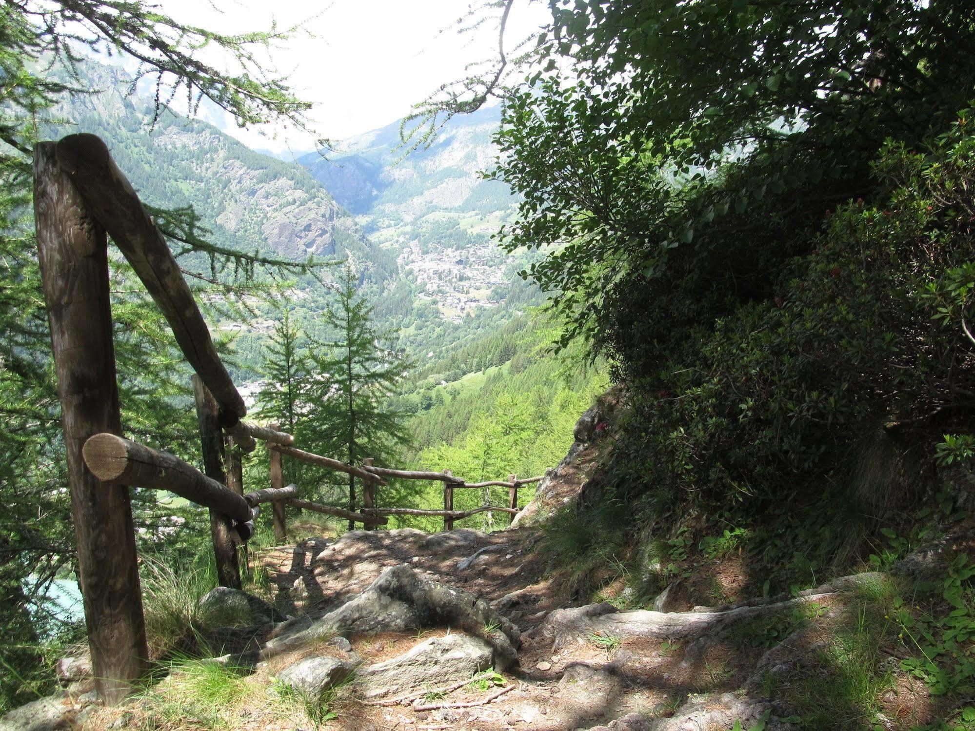 Cervino Valley House Rododendro Breuil-Cervinia Kültér fotó